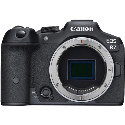 Canon EOS R7 Kamera spiegellose Camera (DSLR Upgrade, Hybridkamera, 4K/30p Videoaufnahmen, bis zu 15 B/s, WLAN, Deep-Learning Dual...