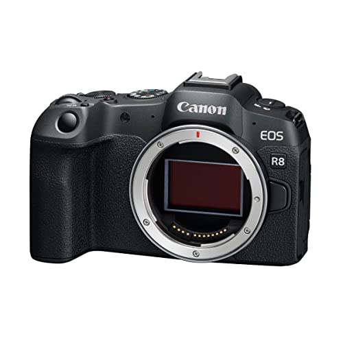 Canon EOS R8 Systemkamera - Spiegellose Vollformat Kamera (Digitalkamera mit Autofokus und Motiverkennung für Augen Tiere Fahrzeuge,...