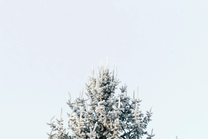 Minimal Weihnachten
