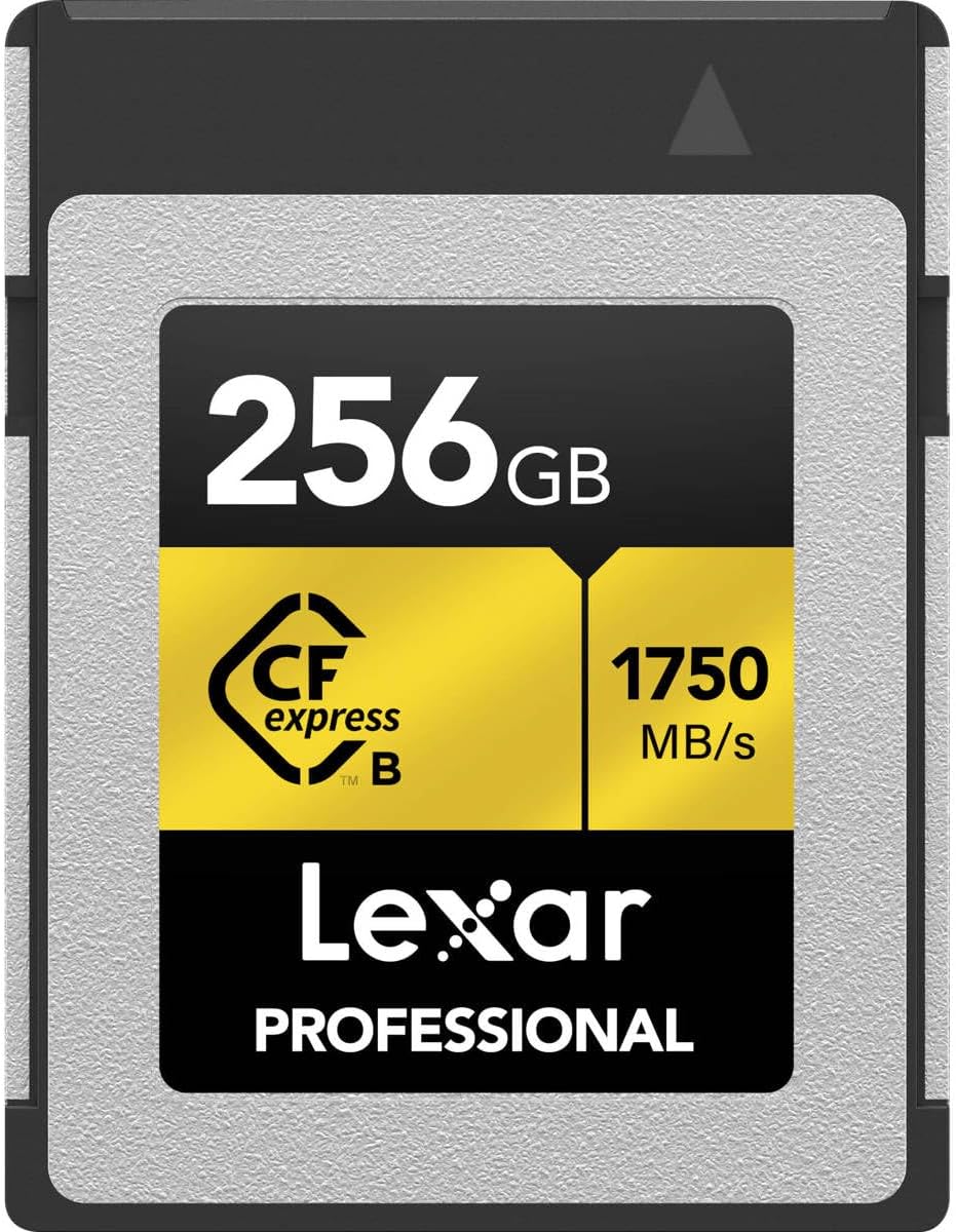 Lexar Professional CFexpress Typ B 256 GB